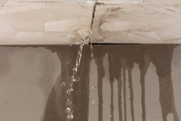 Professional Structural Drying technician working in Reno, TX
